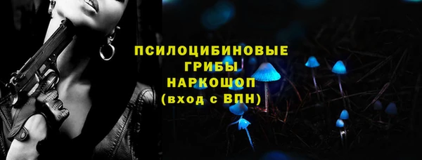 мдпв Карпинск