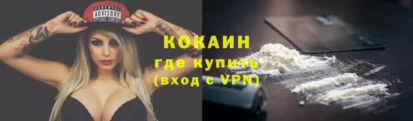 мдпв Карпинск