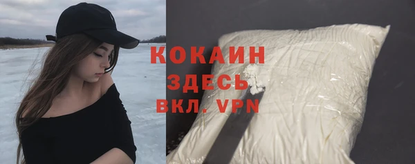 мдпв Карпинск
