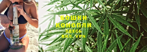 мдпв Карпинск
