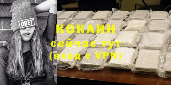 мдпв Карпинск