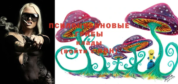 мдпв Карпинск