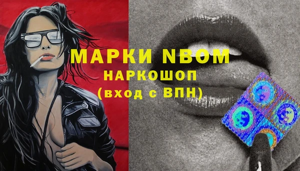 мдпв Карпинск