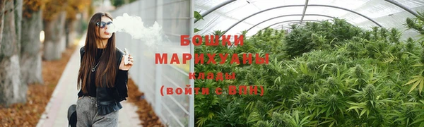 мдпв Карпинск