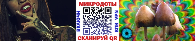 Псилоцибиновые грибы мицелий  Купить где  Дятьково 